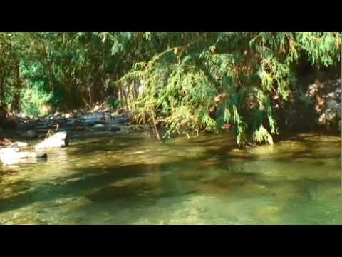 Free gay webcam chat rooms