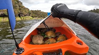 Stewart Island | Port Pegasus | Spearfishing and Hunting the Bottom of the World! Part 1