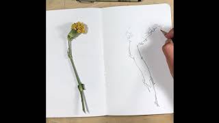 Drawing From Nature: Blind Contour Exercise Example (Real Time)