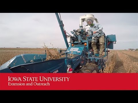 Mueller Lab Field Crop Research Program: Harvest - YouTube