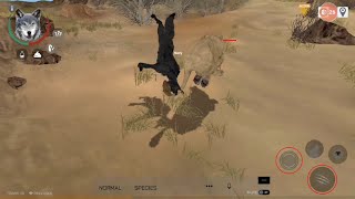 Wolf Online 2 - Beginners Gameplay
