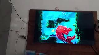 David Gamer a série: Rayman Origins all bosses o chupa-cabra da Amazônia 🌴🪴🇧🇷