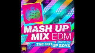 Ministry of Sound Mash up Mix EDM