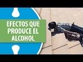 Dr. Ramón Acevedo | Efectos y Daños que Produce el Alcohol / Efectos del alcohol en el cerebro
