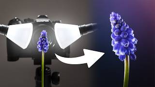I Tried Flower Macro Photography For The First Time