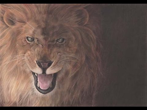 色鉛筆 パステル リアルなライオンの描き方 How To Draw A Lion Pastel Drawing Youtube