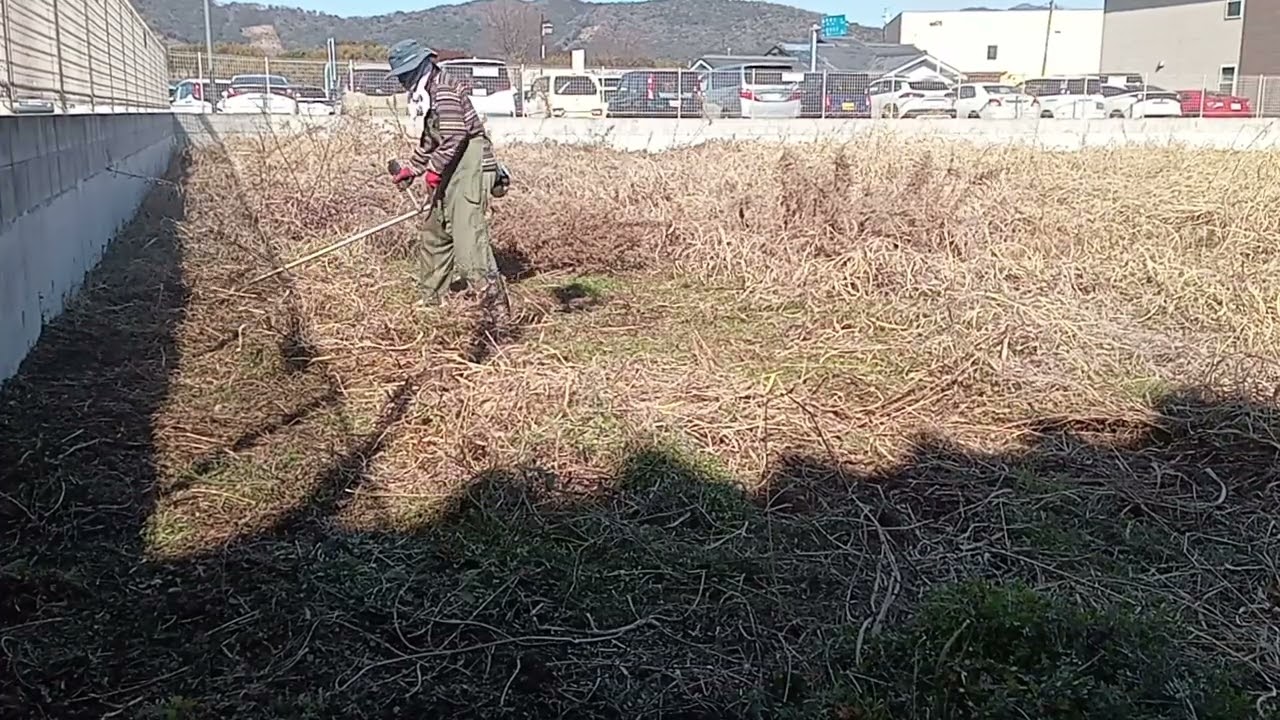 草刈り。鹿本商工高等学校裏。2026-02-17