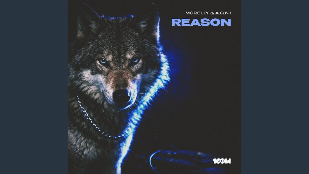 Guarda Reason su YouTube Guarda Reason su YouTube