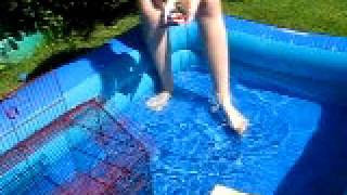 Rats Swimming Sches And Daisy