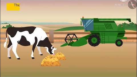 class 6 ch-16 garbage in , garbage out