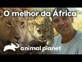 As aventuras de Frank pela África | Wild Frank Perdido Na África | Animal Planet Brasil