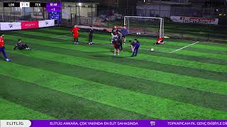 Eli̇tli̇g Freeli̇g 13.Sezon Lokomoti̇f Ankara - Tekni̇syenler