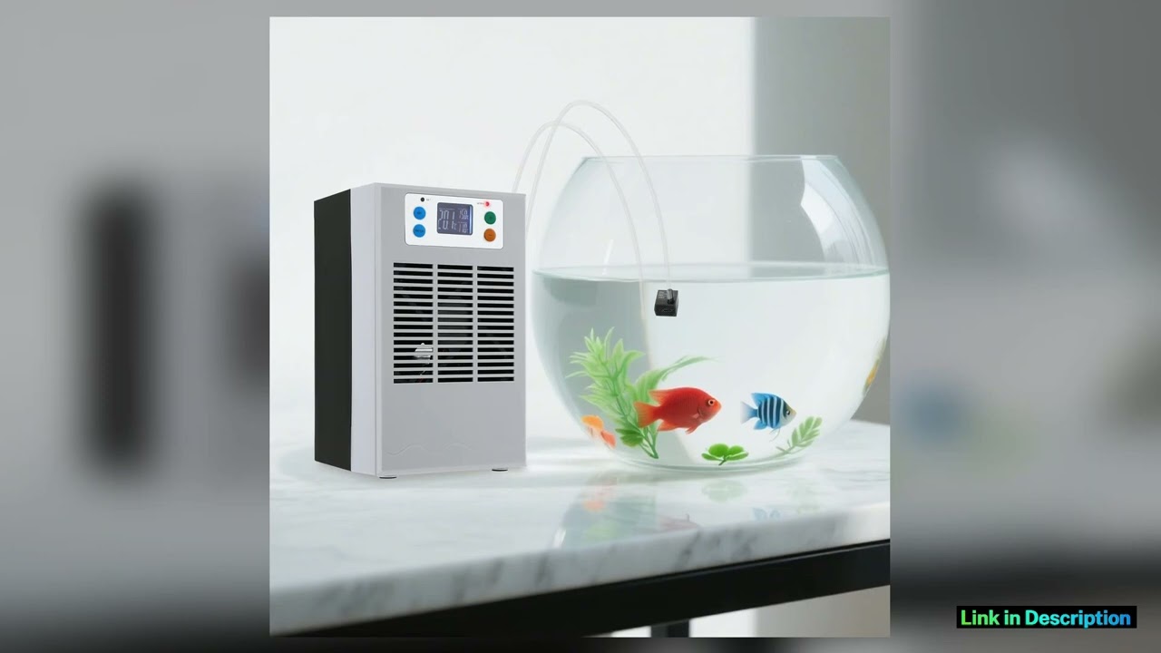 Aquarium Chiller Heater 100W Intelligent Temperature Control for Saltwater Freshwater Fish Tank