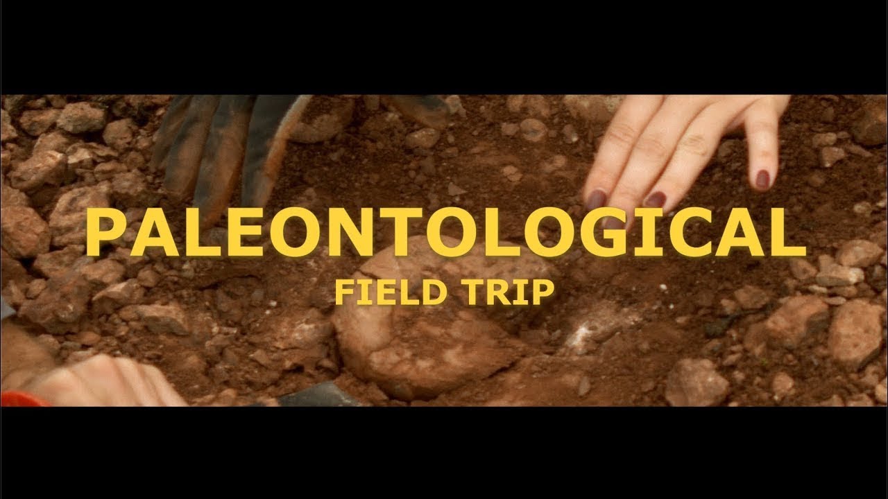 🇬🇪 Paleontological Field Trip (Zestafoni) | Georgia
