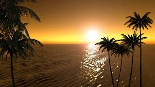 Relaxing Tropical Sound Beach Sunset view with Palm Trees Relax Sound