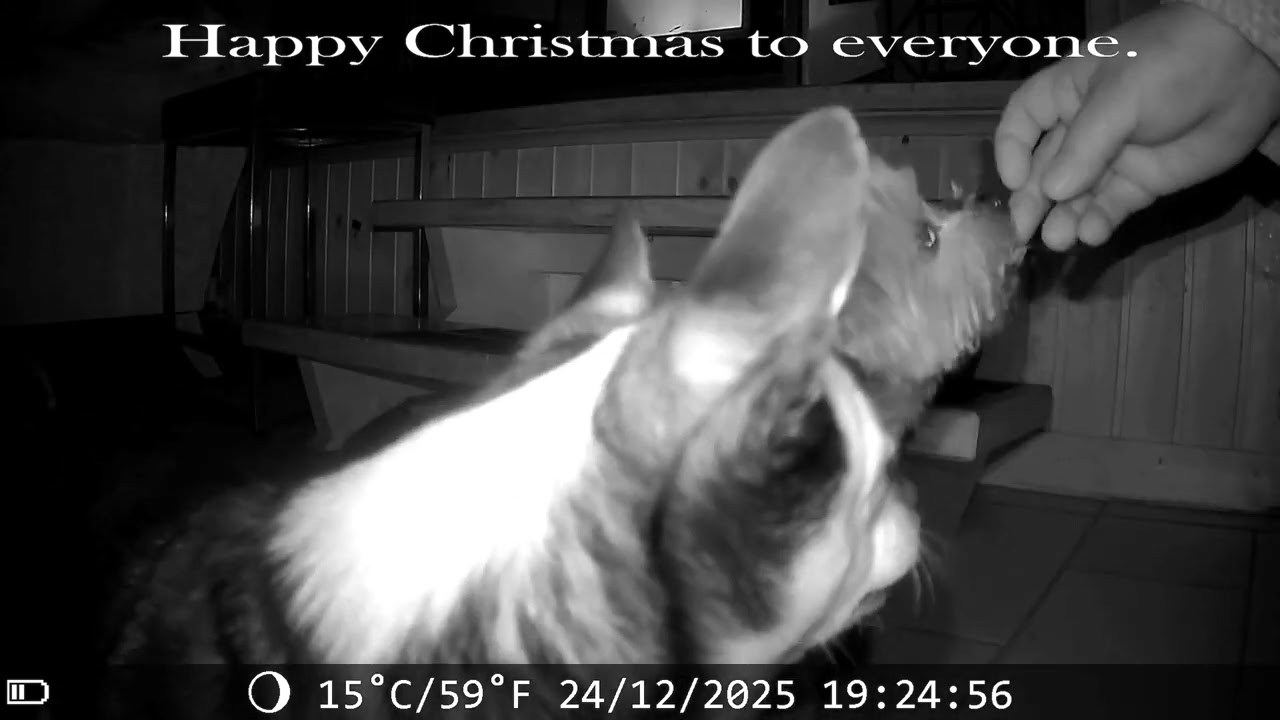 Merry Christmas to all from myself, Princess and Hamish