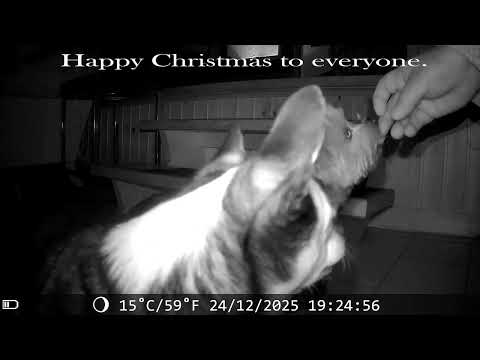 Merry Christmas to all from myself, Princess and Hamish