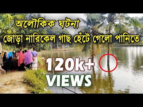 ভিডিও: এবং অলৌকিক ঘটনা শুরু হয়