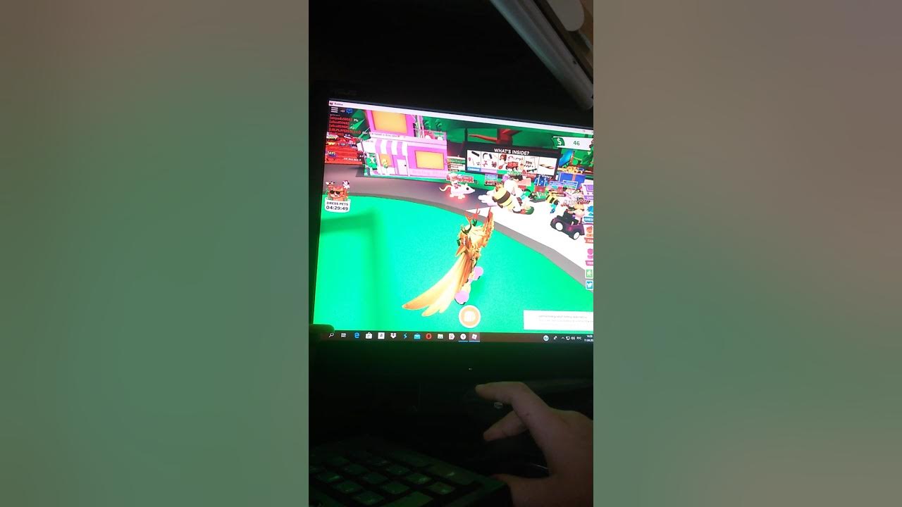 инвентарь петов в адопт ми. инвентарь петов в адопт ми крутых. райд пет роблокс цербер. скрин инвентаря в адопт. павлин в адопте лега фул граунт.