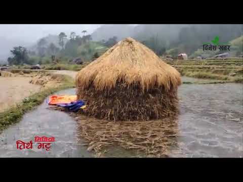 जोराज गाउँपालिका वडा नम्बर ३ डोटीको धान खेत पानीको चपेटामा भिडियो तिर्थ भट्ट