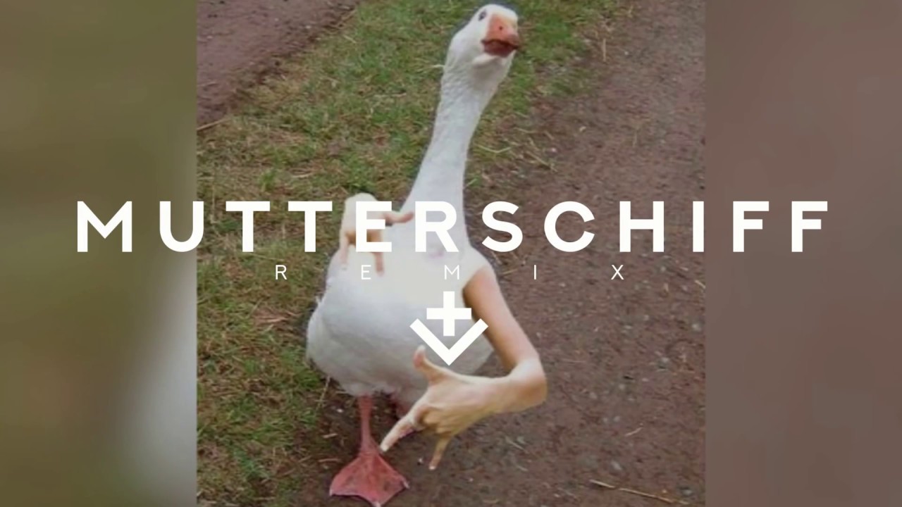 Denn Ich Dance Mit De Gänse