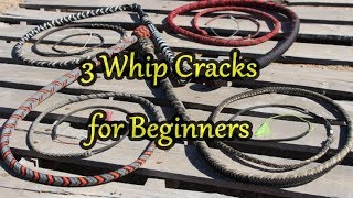 2019   Three Whip Cracks for Beginners (New Version)