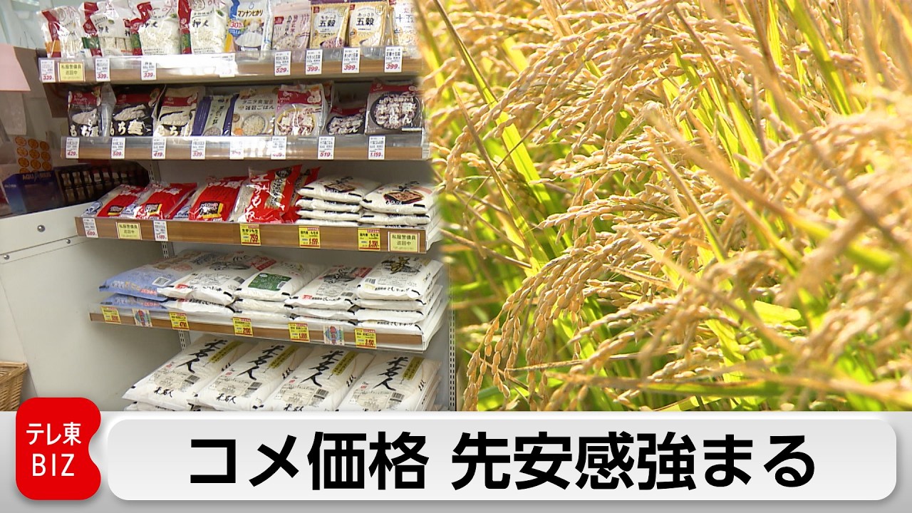 おこめ週間出品 向こう3カ月のコメ価格指数 9カ月連続下落 先安感強まる - YouTube