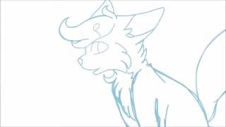 Satisfied || MAP WIP