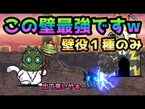 異界にゃんこ塔 30階 この壁最強です！ 壁役は1種で攻略 にゃんこ大