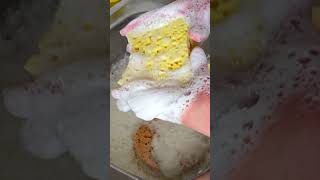 3 sponge squeezing 🧽🧽🧽 satisfying ASMR foam sounds