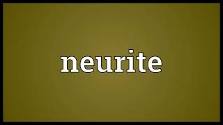 Neurite Meaning