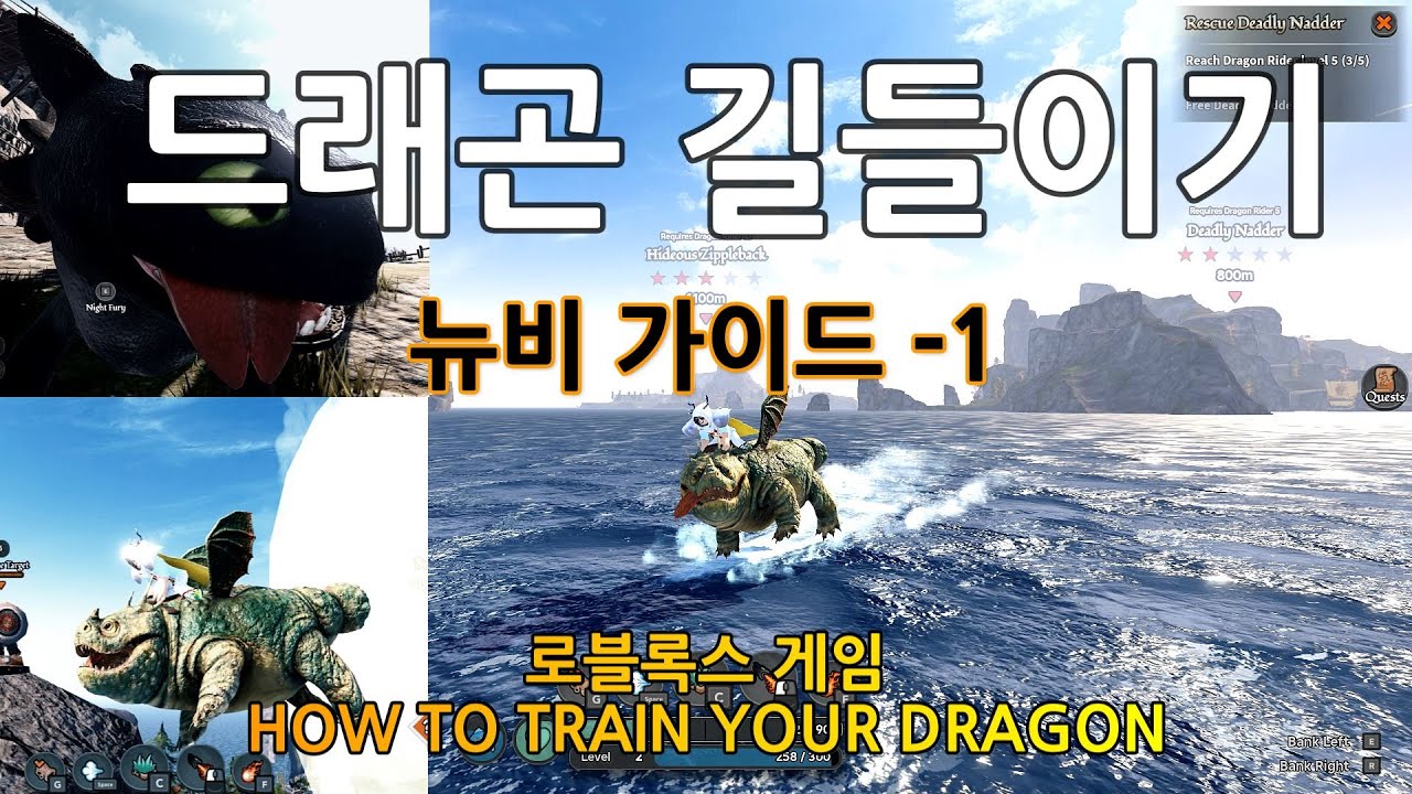 로블록스 게임 맞아? 강추합니다! 드래곤길들이기 뉴비 초보 가이드! - YouTube