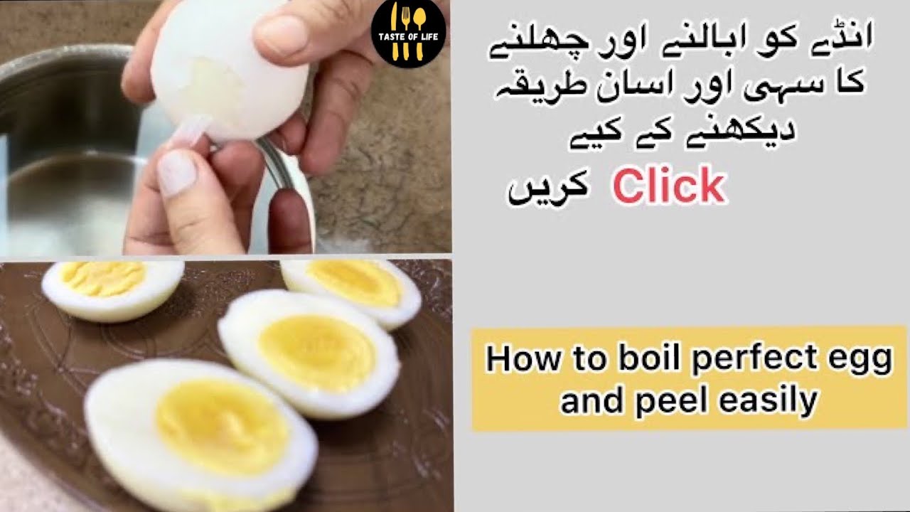 How To Boil Egg | Perfect Hard & Soft Boiled Egg Timing | Winter ...