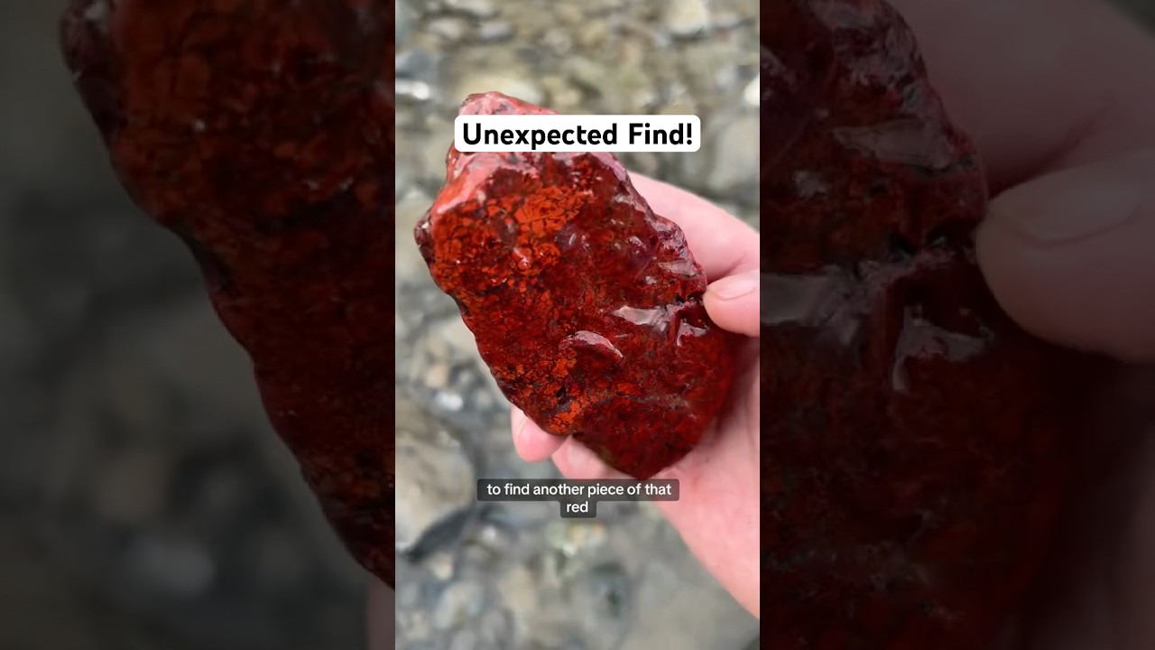 Rare find in the River! #rockhound #rockhounding #norcal #crystals #geode #gemstone #jasper #agate