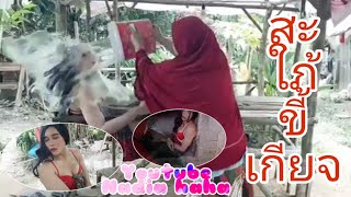 สะใภ้ขี้เกียจ ( natu malas )