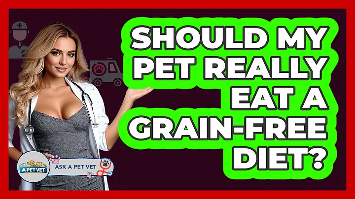 Should My Pet Really Eat A Grain-free Diet? - Ask A Pet Vet