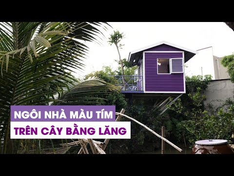 KÌ LẠ: Ngôi nhà màu tím trên cây bằng lăng có một không hai ở Cần Thơ