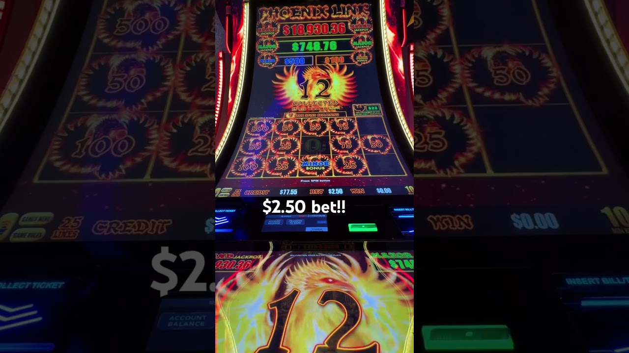 Have to love getting lucky on these Phoenix links 😊😊 #casino #gamble # ...