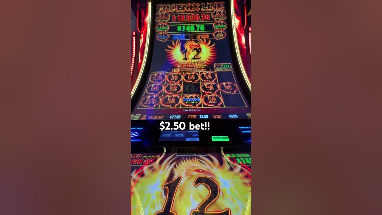 Have to love getting lucky on these Phoenix links 😊😊 #casino #gamble # ...