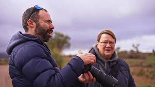 Rainbow Bee-eater Photography Experience