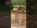 Soil filling work start || #new #construction #work #soil #filling #reels #vlogs #youtubeshorts