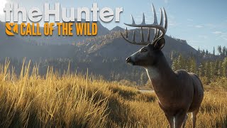 Кто Празднику Рад... Пятничный Стрим. Thehunter Call Of The Wild