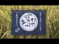 京急あきたフェア2019