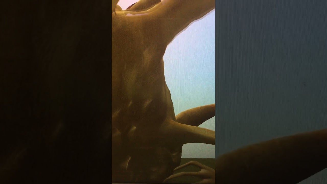 A fact about mega horn (gmod)