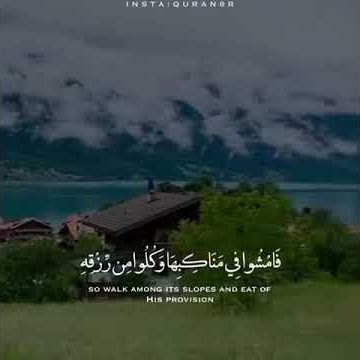 story wa murottal Qur'an merdu