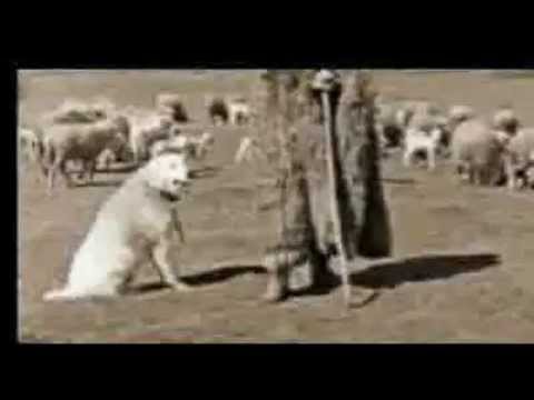 უძველესი trance საცეკვაო მუსიკის