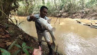 Mancing Ikan Baung Super Besar Di Sungai Banyak Akar Seperti Ini, Hampir Putus Mas Brow..