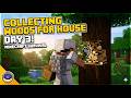 Collecting wood for house day 3 |minecraft servival