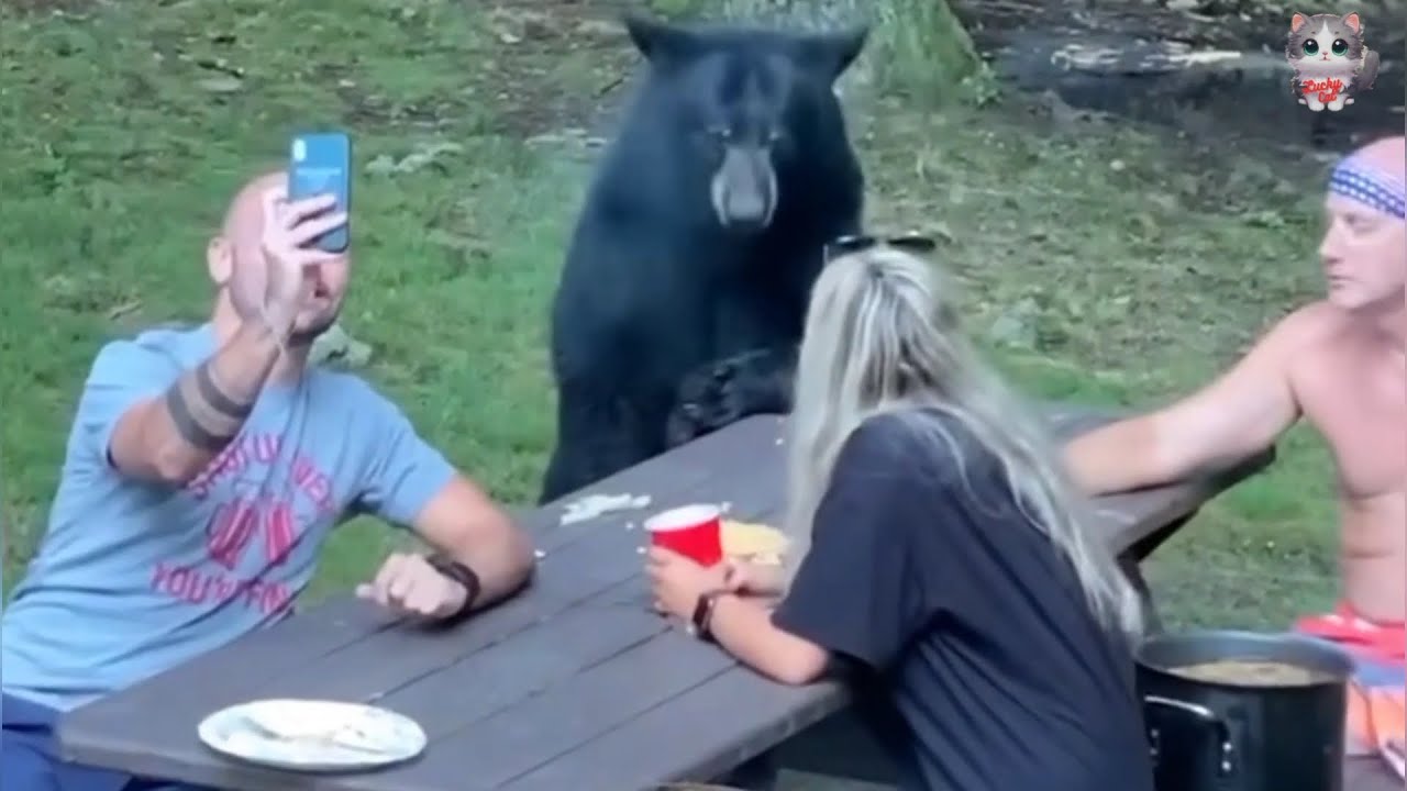 A Bond Beyond Nature: The Story of Benny the Bear, Helping and Becoming Part of a Human Family.