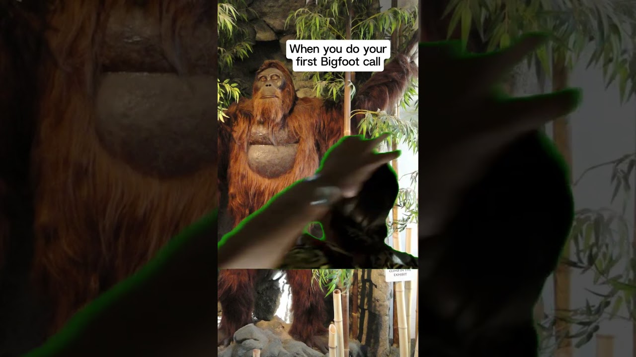 Bigfoot calls are easy? #publishtoall